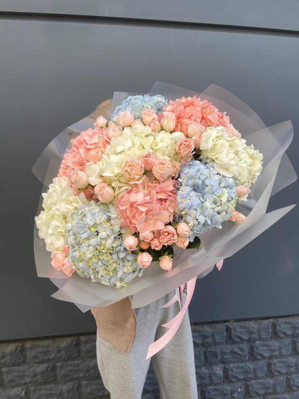 Дуо гортензии и бомбастик в Сириусе