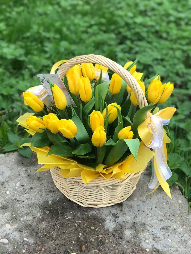 25 желтых тюльпанов в корзине в Сириусе