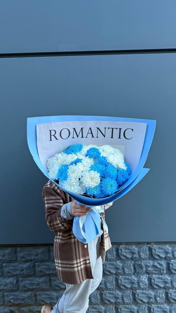 Дуо хризантем в Сириусе