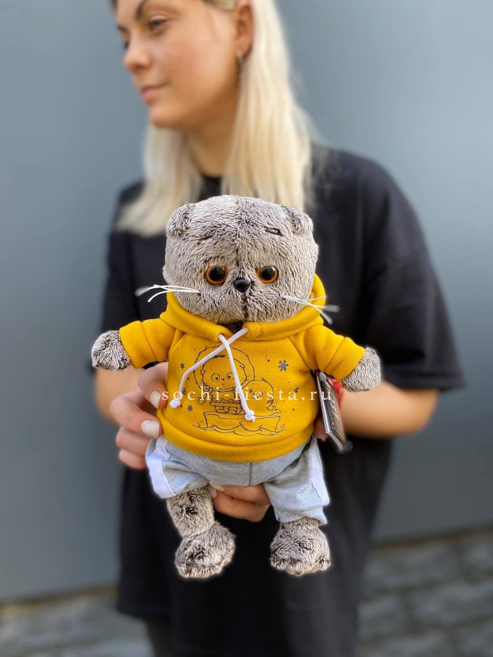 Кот Басик в худи в Сириусе