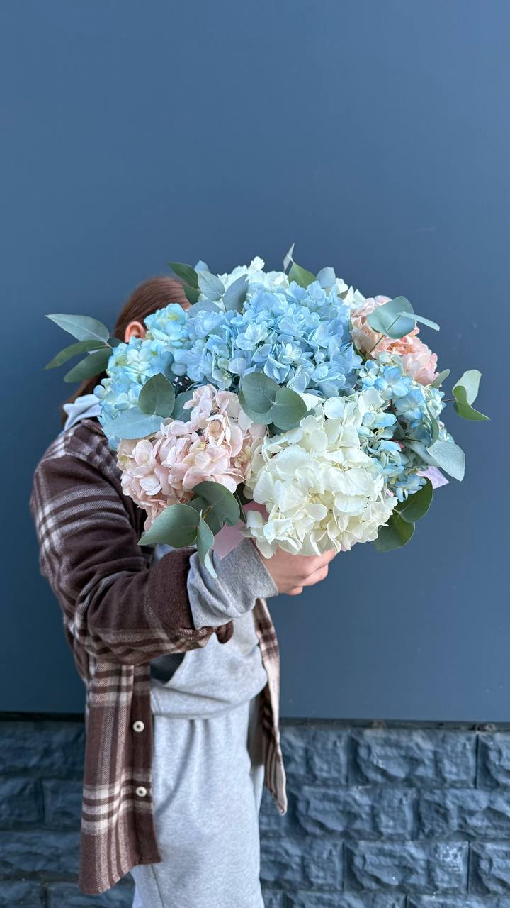 Гортензии в коробочке в Сириусе