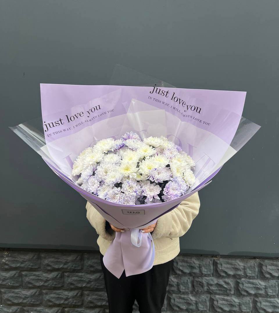 9 воздушных хризантем в Сириусе