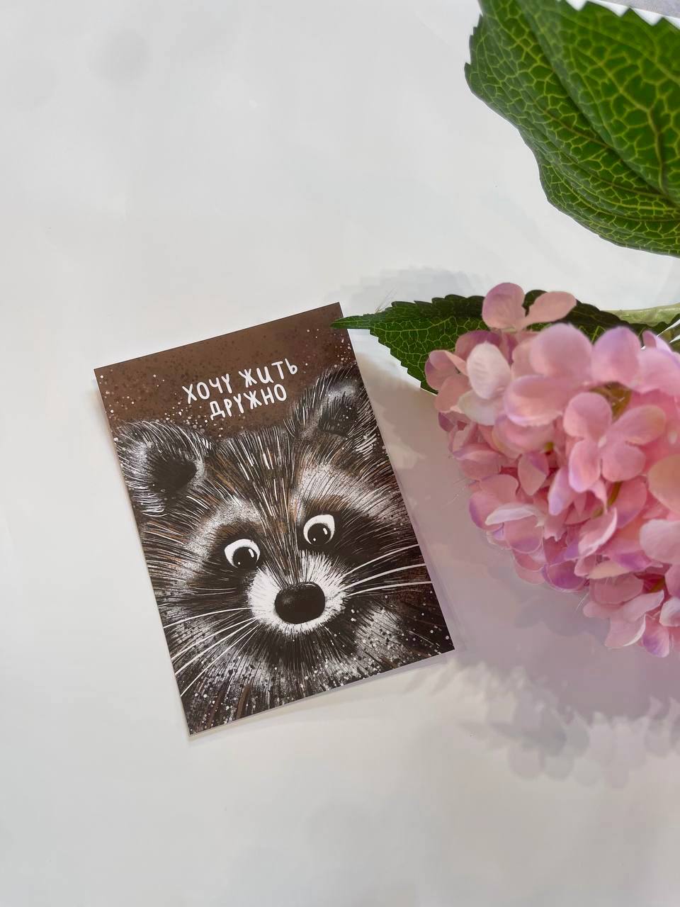 Открытка к букету "Енотик" в Сириусе