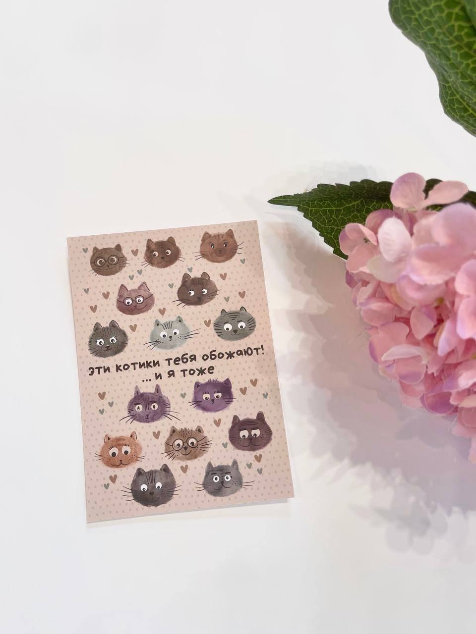 Открытка к букету "Котики" в Сириусе