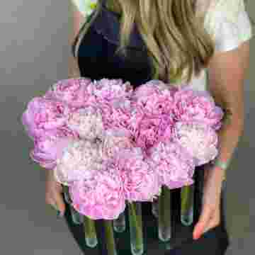 Woodbox Peony Heart в Сириусе