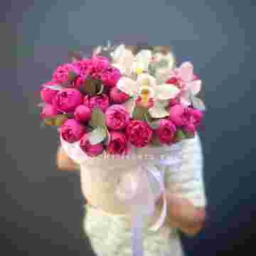 Flowerbox Capella в Сириусе