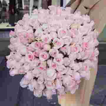 Pink boom в Сириусе