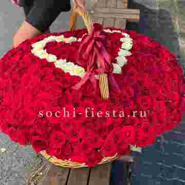 505 роз в Сириусе