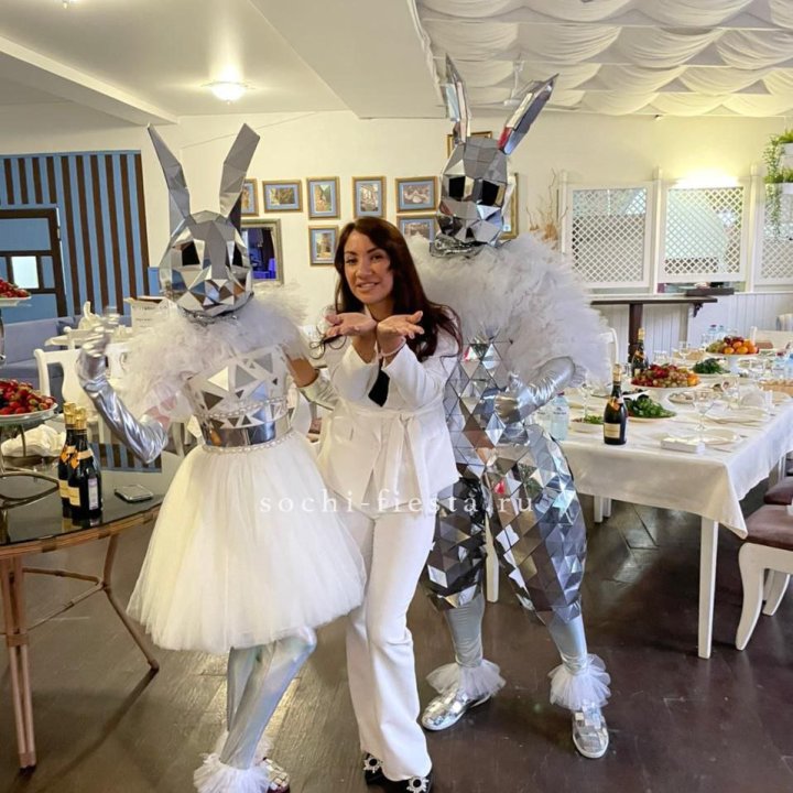 Аниматор Зеркальный заяц в Сириусе