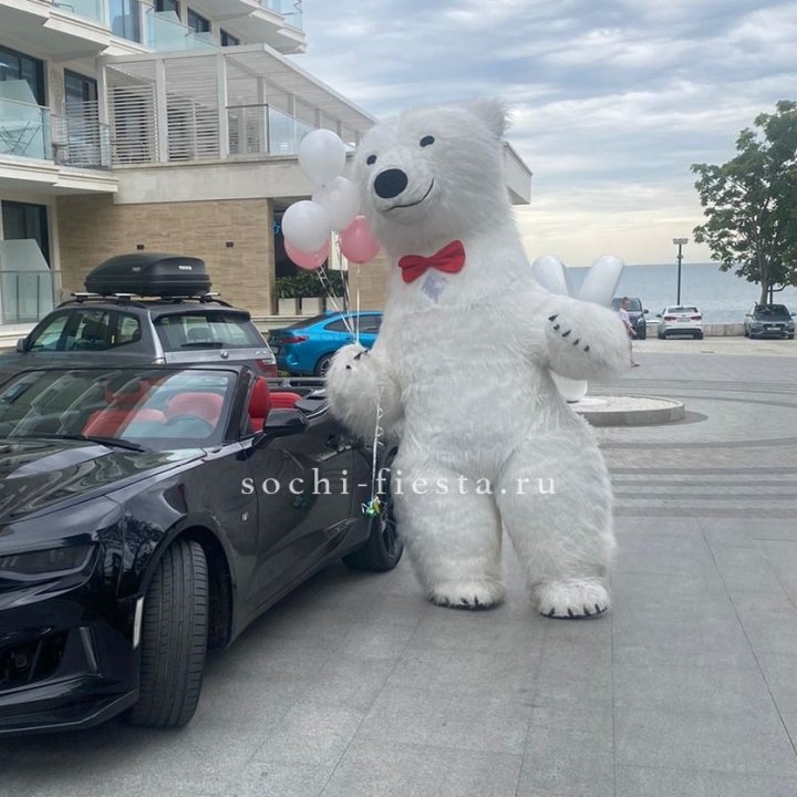 Аниматор Белый Медведь в Сириусе