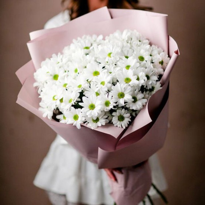 Букет хризантем №2 в Сириусе