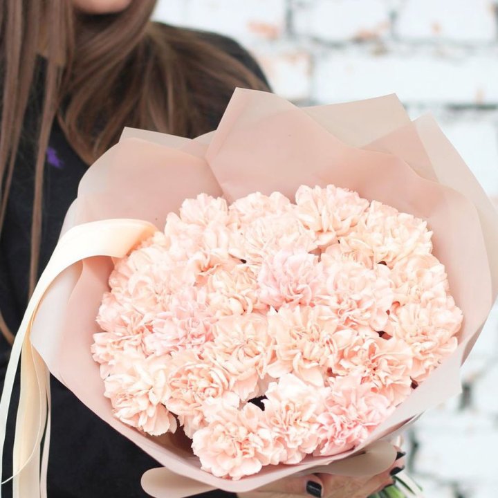 Диантусы №2 в Сириусе