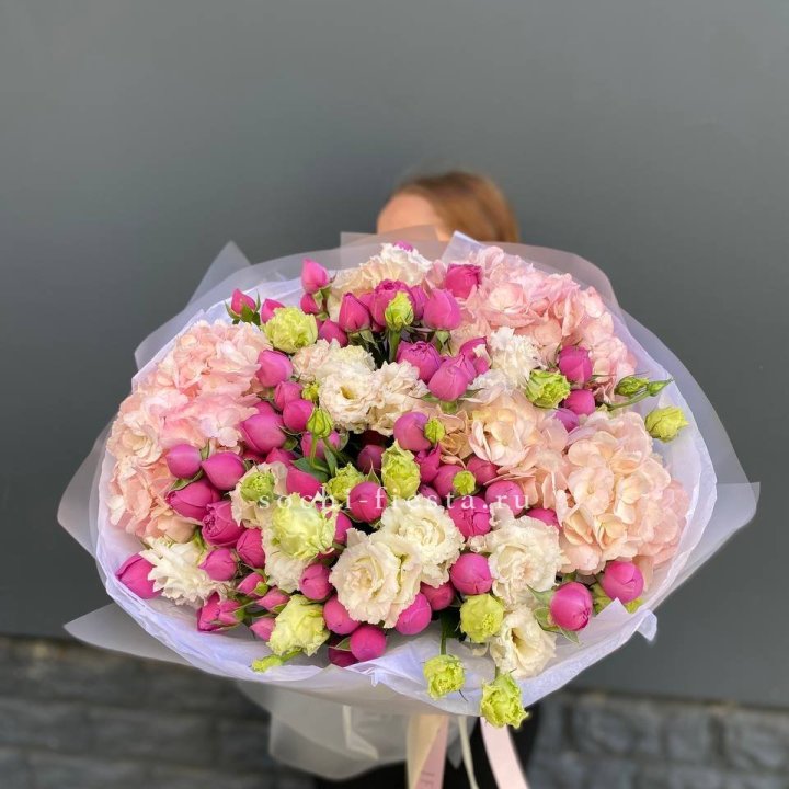  Букет  гортензий и Мисти в Сириусе