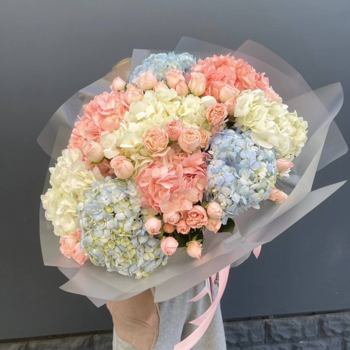 Дуо гортензии и бомбастик в Сириусе