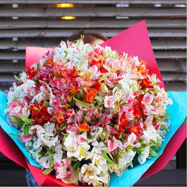 101 альстромерия в Сириусе