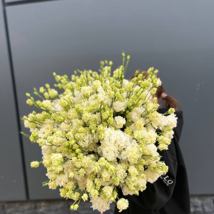 51 белая эустома в Сириусе