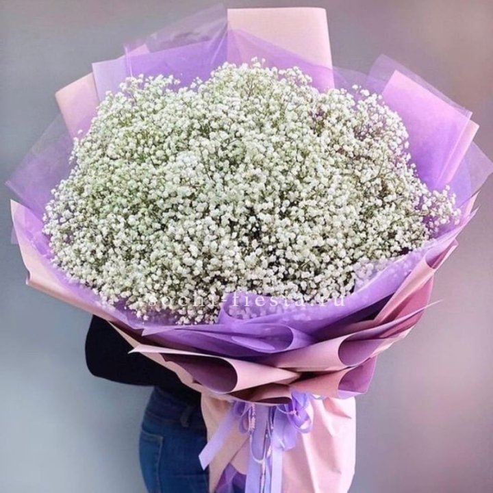 Облако белых гипсофил в Сириусе