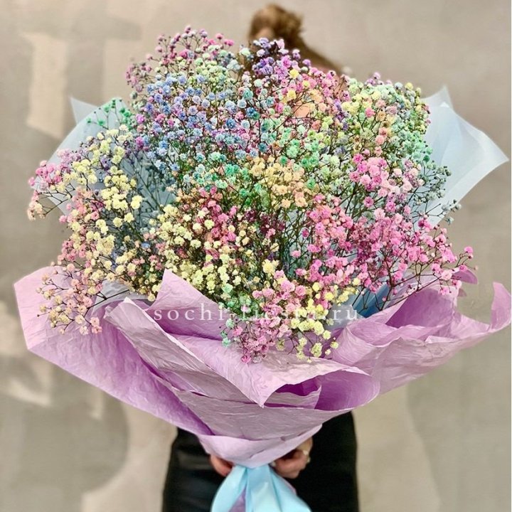 Радужные гипсофилы M в Сириусе