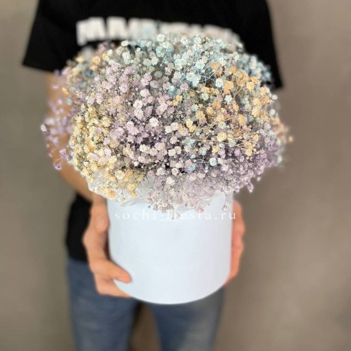 9 Радужных гипсофил в шляпной коробке в Сириусе