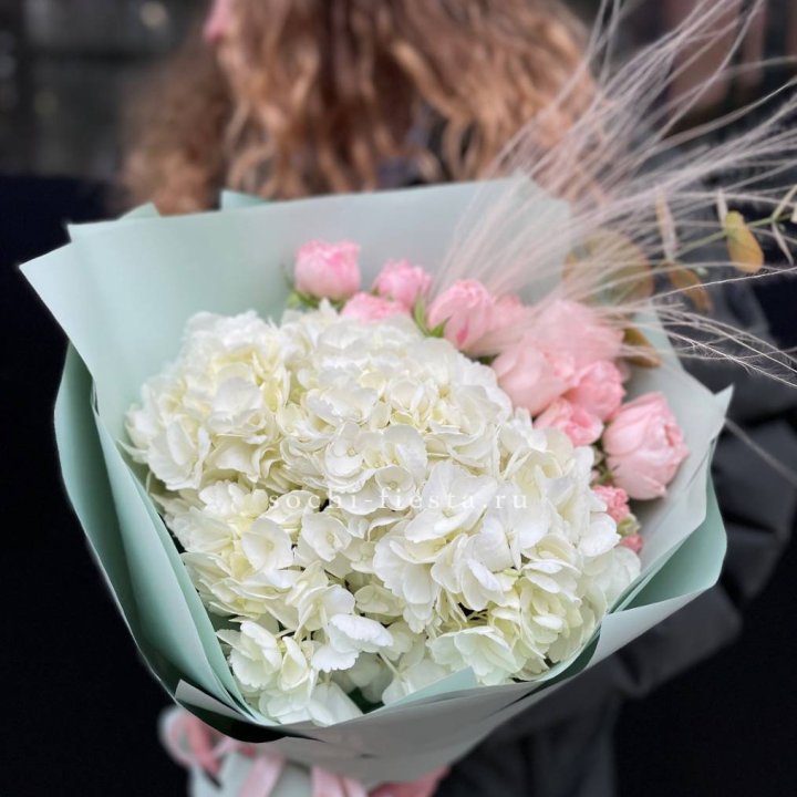 Гортензия "Жасмин" в Сириусе