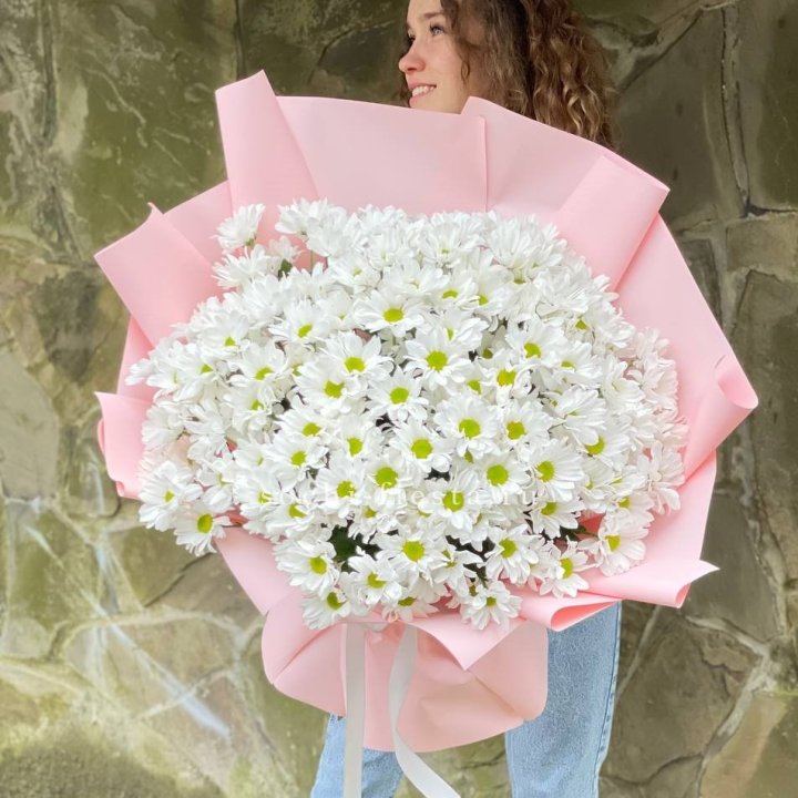  Букет хризантем "Крем" в Сириусе