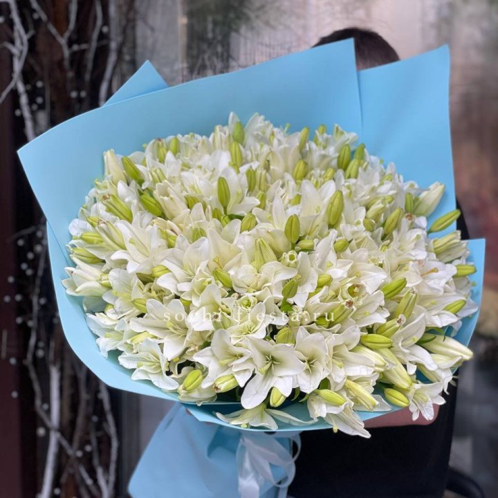 51 лилия в оформлении в Сириусе