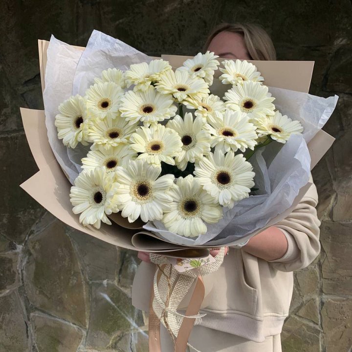 Букет голландских гербер "Shine" в Сириусе