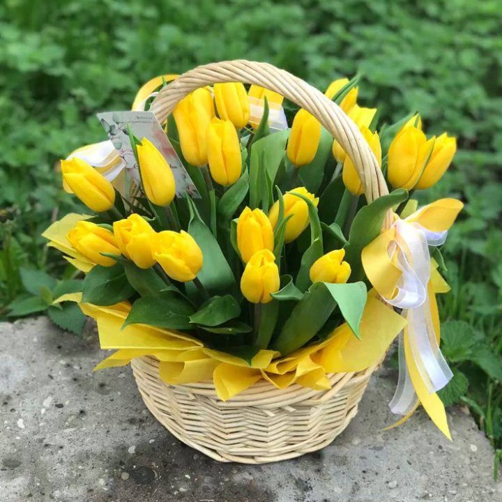 25 желтых тюльпанов в корзине в Сириусе