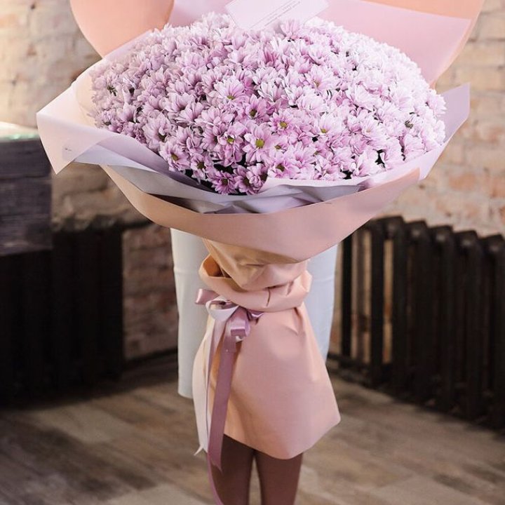 Облако хризантем №1 в Сириусе