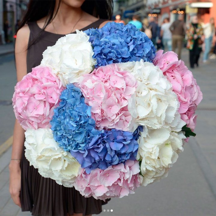 Букет гортензий "Инь-Янь" в Сириусе