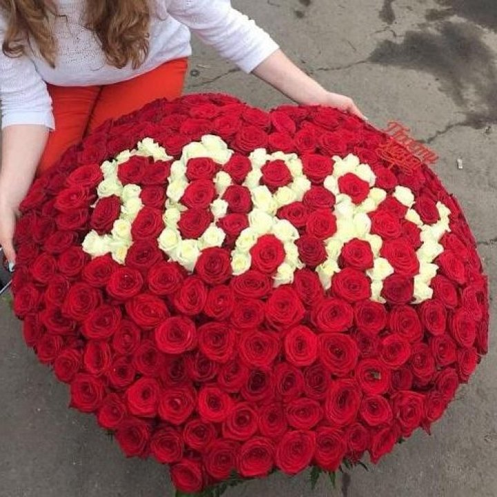 351 роза "Прости меня" в Сириусе