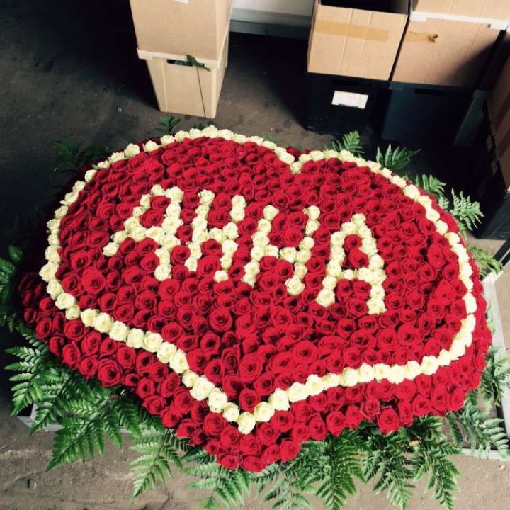 555 роз с именем в Сириусе