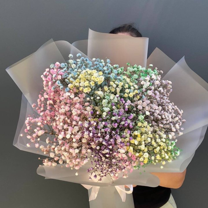 Радужные гипсофилы L в Сириусе