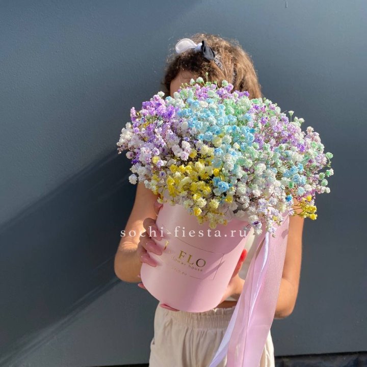 Радужные гипсофилы в шляпной коробке в Сириусе