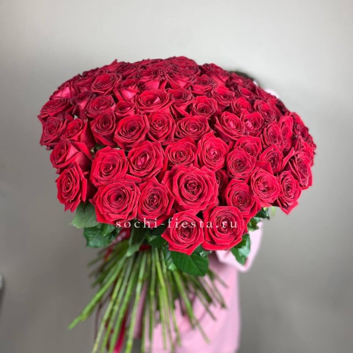 101  голландская роза  в Сириусе