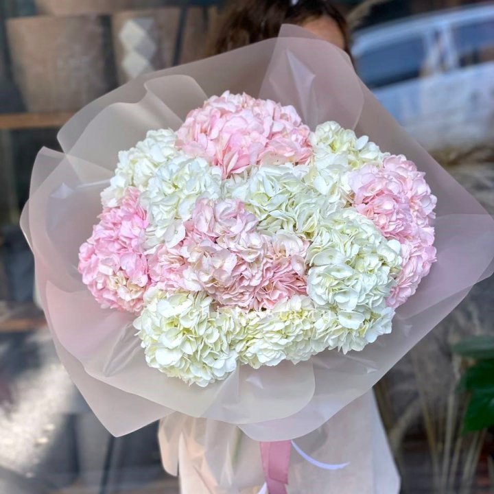 Букет гортензий WOW 3 в Сириусе