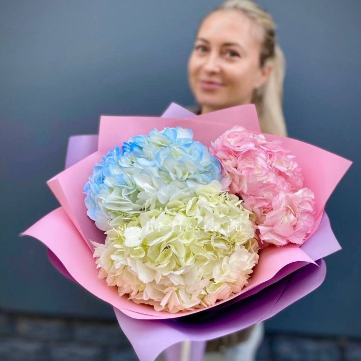 Букет гортензий "Тоника" в Сириусе