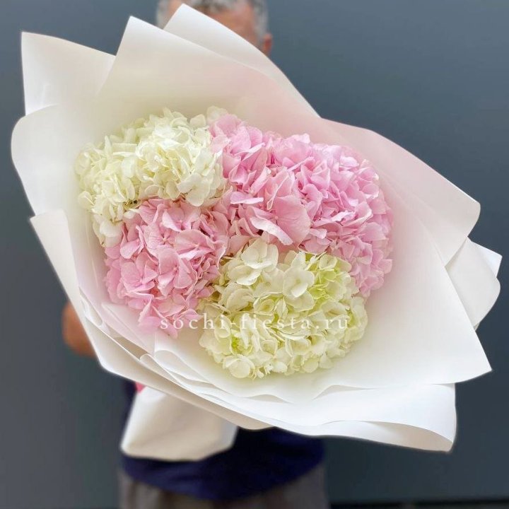 Букет гортензий "Moon" в Сириусе