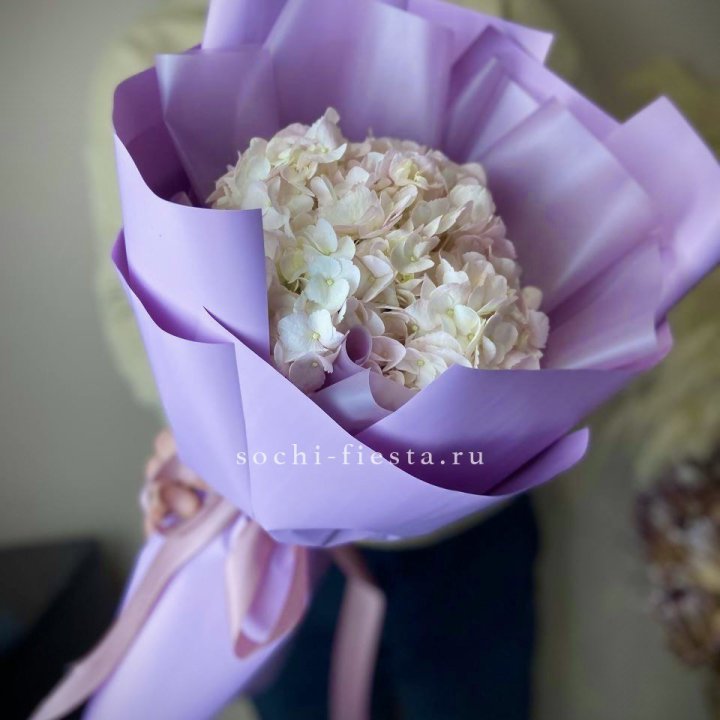 Гортензия UNO Розовая в Сириусе