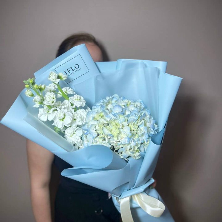 Гортензия Blue с маттиолой в Сириусе