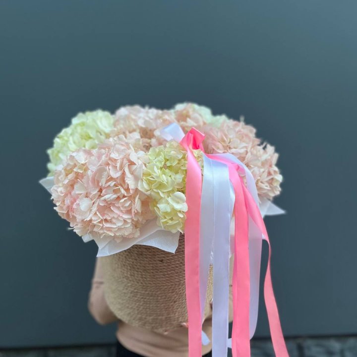 7 гортензий в кашпо в Сириусе