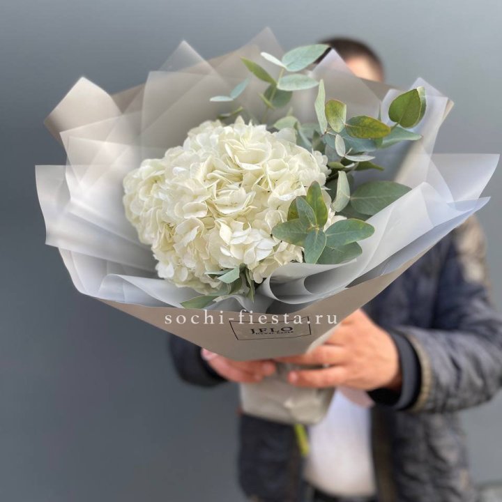  Букет  из белой гортензии в Сириусе