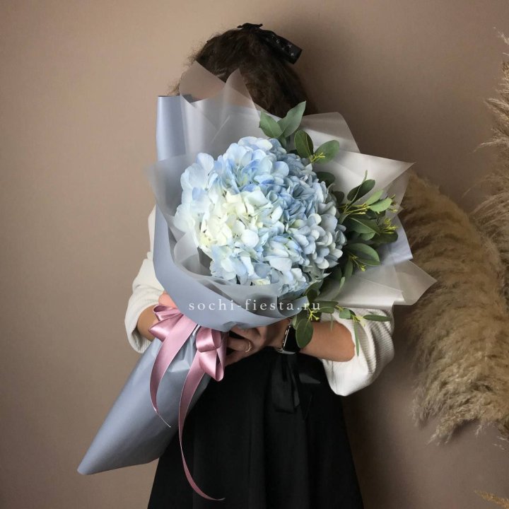 Гортензия Уно в Сириусе