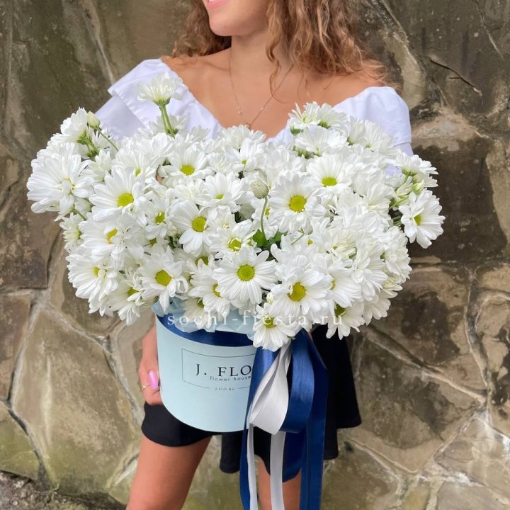 Коробка с хризантемами №2 в Сириусе