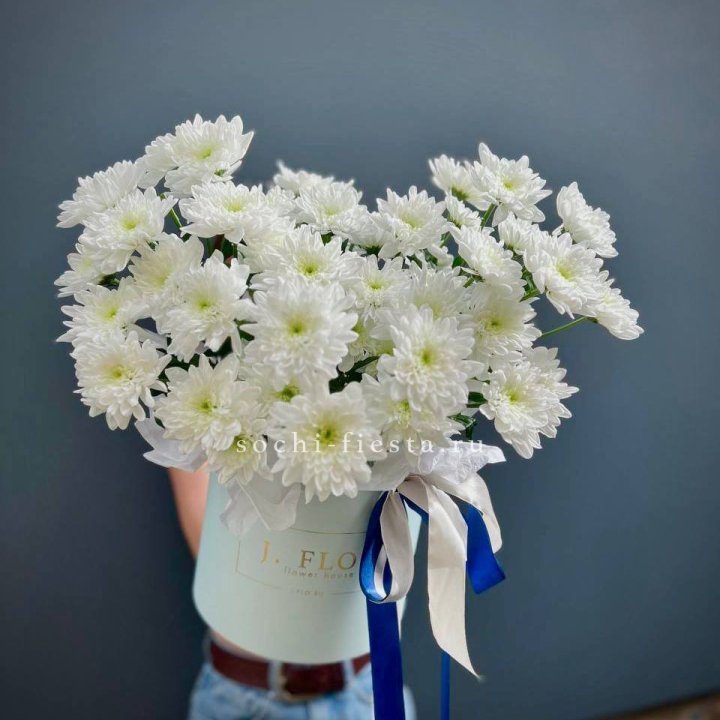 Коробка с хризантемами №3 в Сириусе