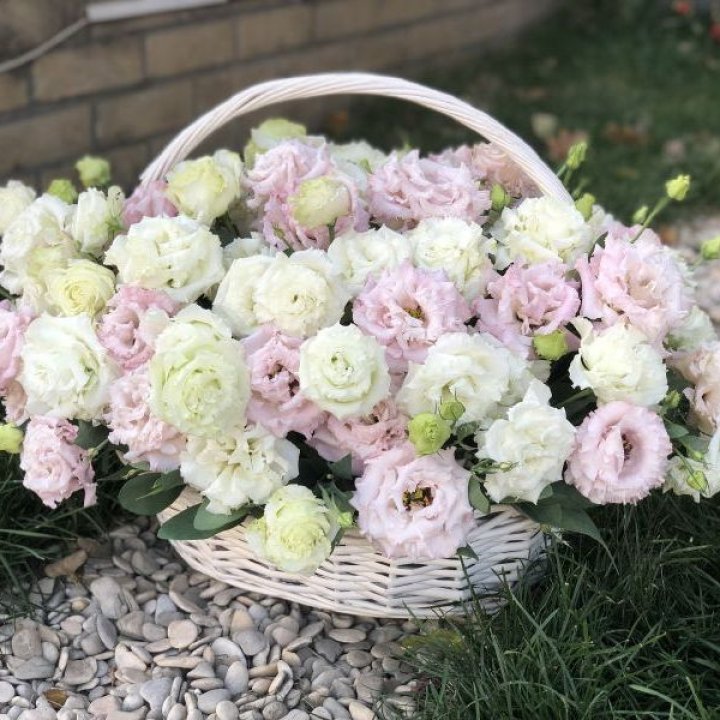 Корзина с эустомой в Сириусе