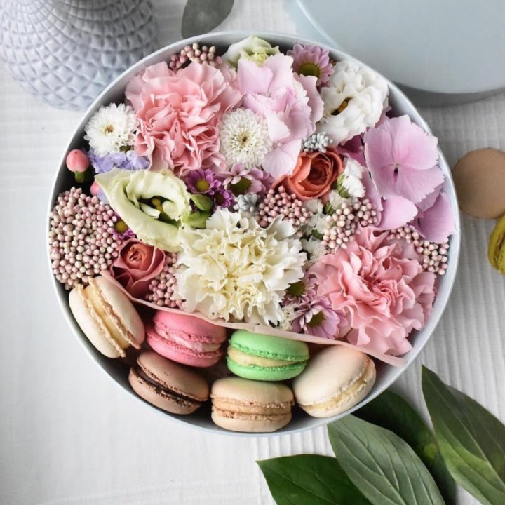 Creambox M в Сириусе