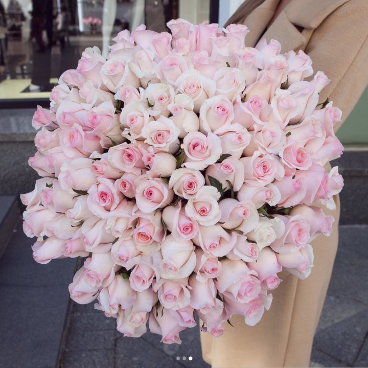 Розы "Пинк бум" в Сириусе