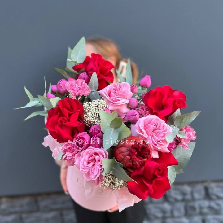  Бокс " Королева" в Сириусе