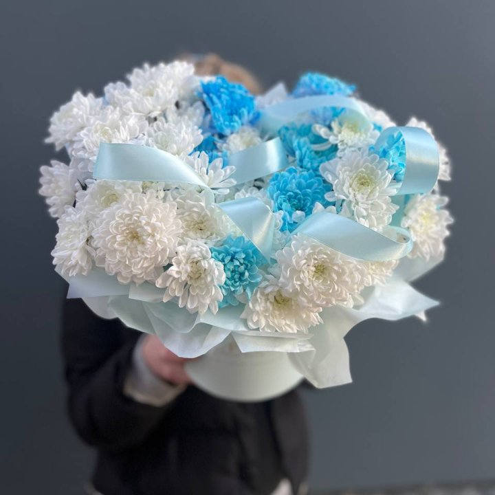 Хризнтемы в боксе в Сириусе